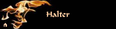  Halter 